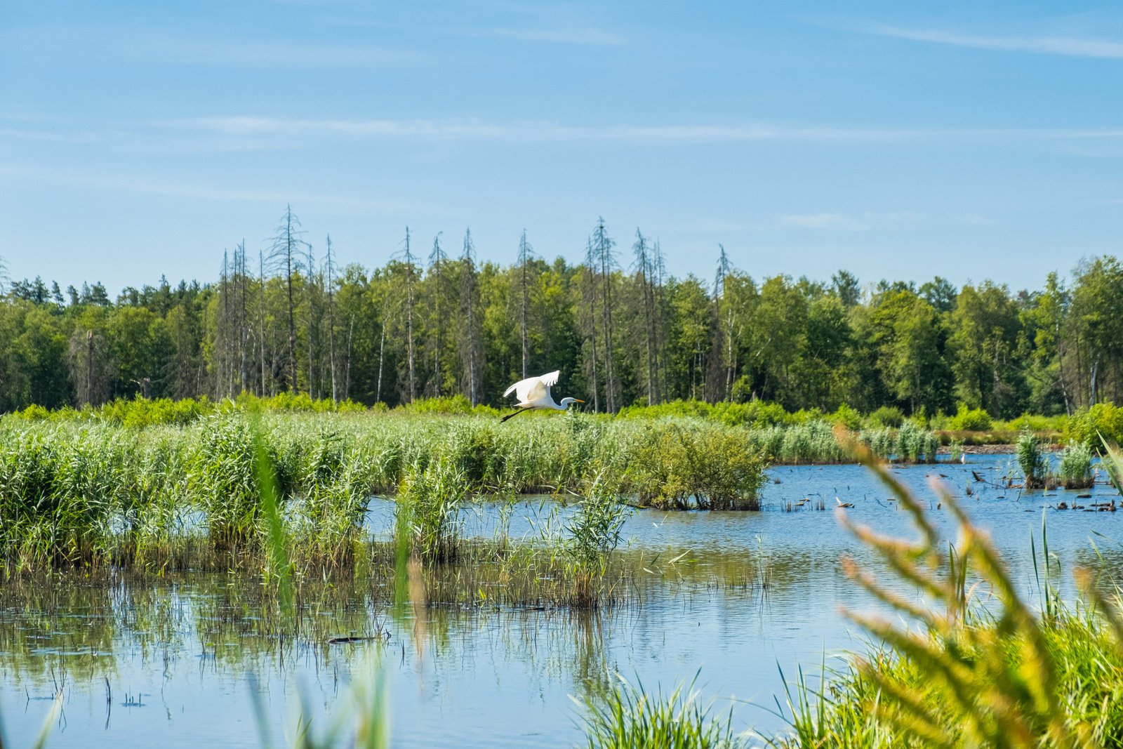 Biodiversity Protection & Awareness